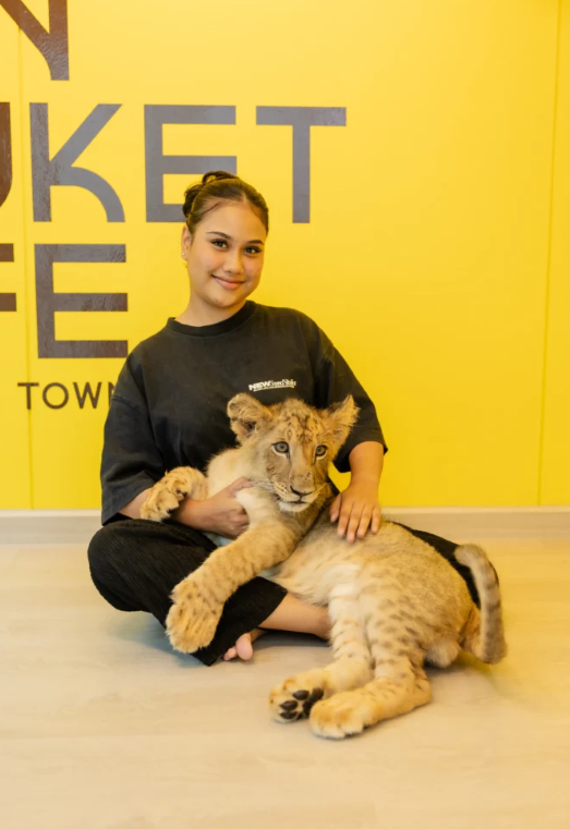 刺激を与えずライオンと遊びます