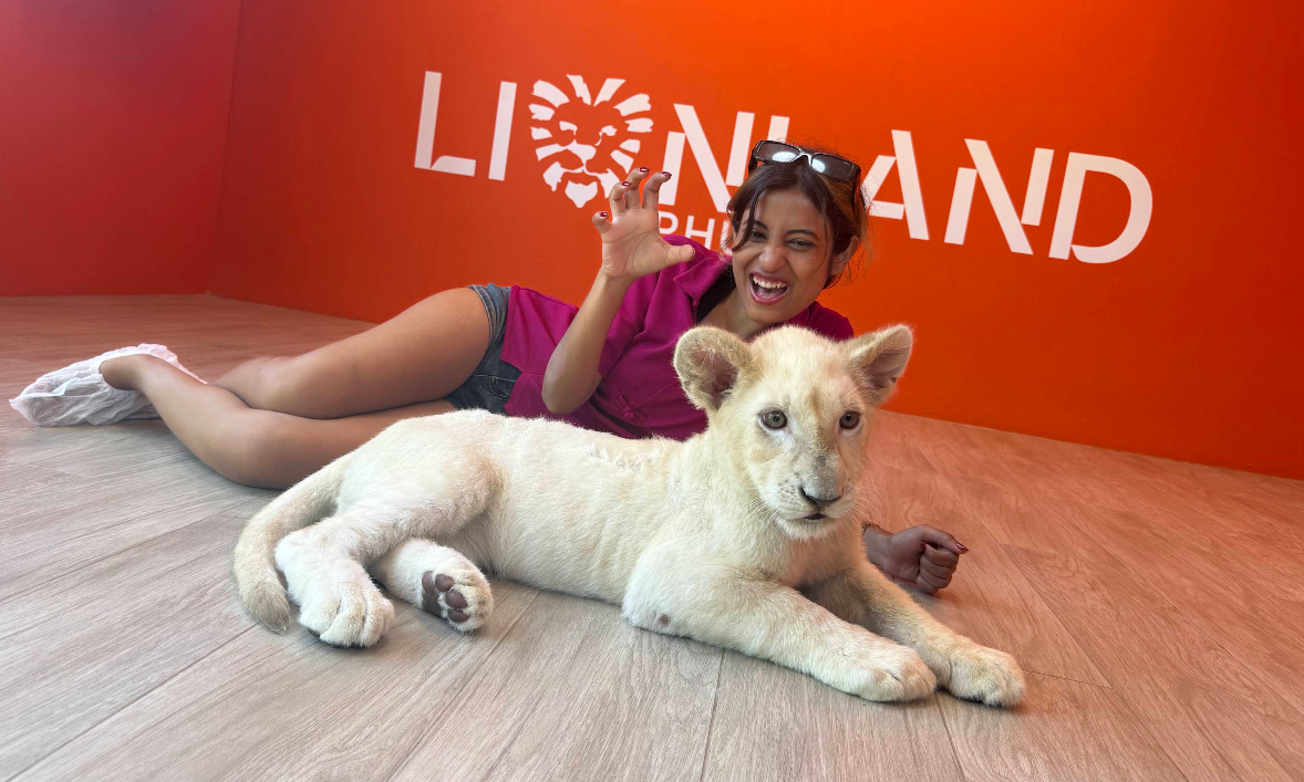【2026年最新】Lion Land Phuket｜ライオンと触れ合える体験とは？