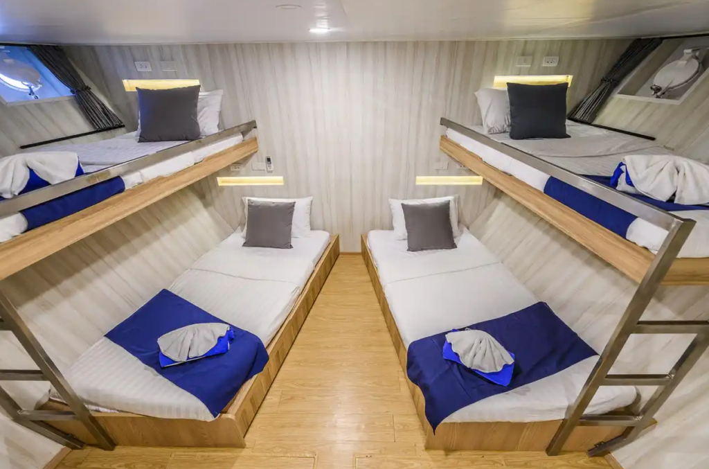 Standard Quad Cabin（クワッドキャビン）