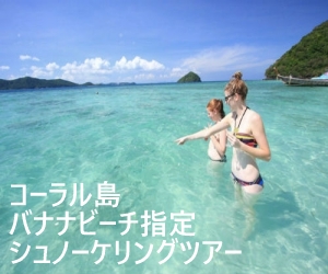 コーラル島シュノーケリングツアー