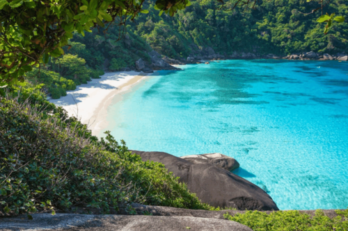 出発がゆっくりの人気シミラン諸島日帰りツアー SeaStar社催行