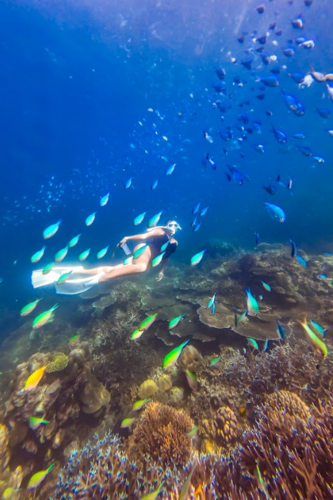 スリン諸島マイガムチャネルのカラフルなハードコーラル群生地。透明度の高い海にクマノミやスズメダイが泳ぐ隠れた珊瑚の回廊